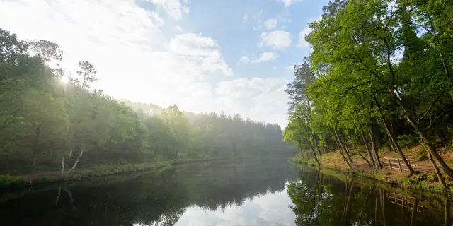 Le vallon de la Chambre au Loup