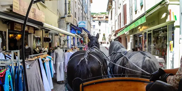 Balade en calèche_Ploermel_DestinationBrocéliande