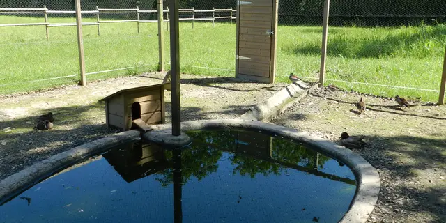 Gite-piscine-morbihan-longere-carentoir