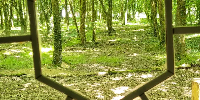 L'Hôtié de Viviane