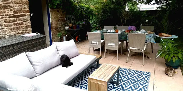 Terrasse avec chats