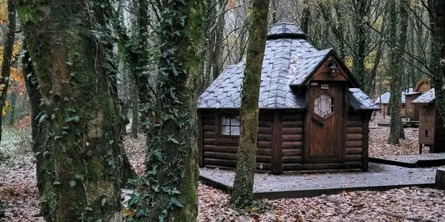 Siège de Merlin