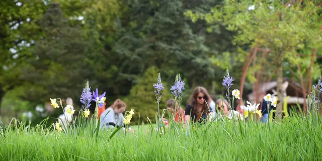 2025-04-21-printemps-jardins-broceliande-2