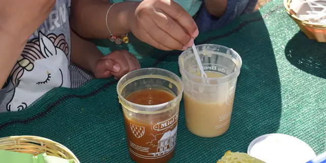 dégustation de miel