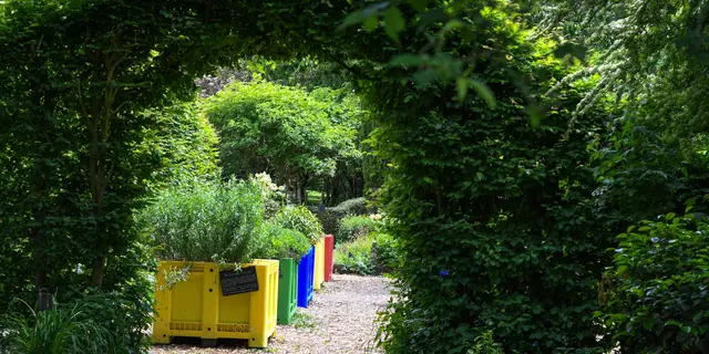 2025-05-jardin-cure-jardins-de-b-2