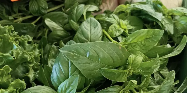 drive - paysans bio - paniers produits locaux - pays de Ploërmel