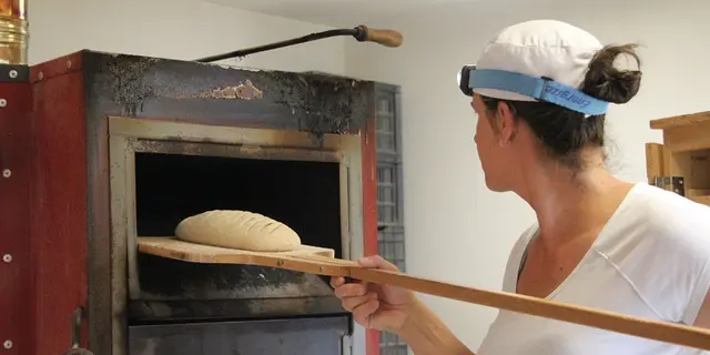 la ferme aux pains - producteur farine - pain biologique - Taupont - Morbihan