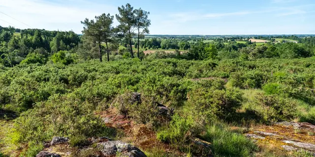 Carrière de la Marette