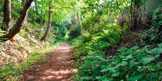 Chemin au vallon de la Chambre au Loup