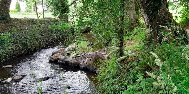 La Vaunoise Pleumeleuc