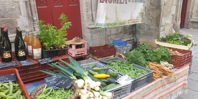 ferme_la-bouvrais-rumex_maraichage_brebis_Concoret_DestinationBroceliande