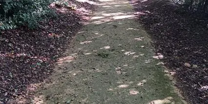 Sentier du Douet