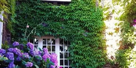 Maison d'hôtes La Porte de Pierre