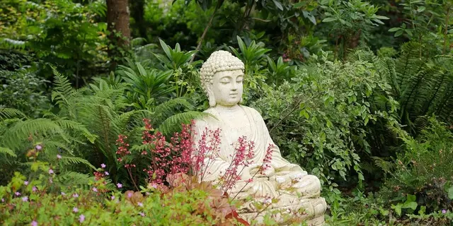 22_13_11321_Broceliande.guide_JardinClosPenguily