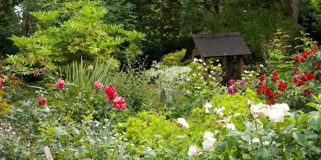 22_13_11322_Broceliande.guide_JardinClosPenguily