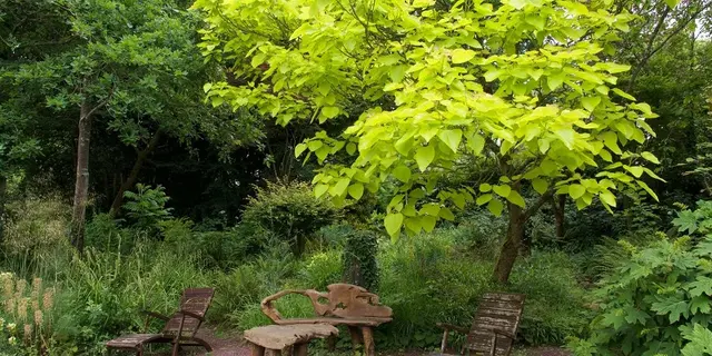 22_13_11326_Broceliande.guide_JardinClosPenguily
