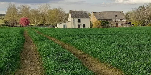 Gîte La Gifflaie