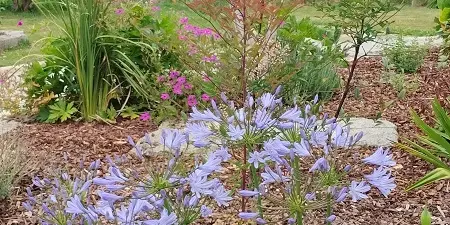 Jardin_GîteDuMoulin