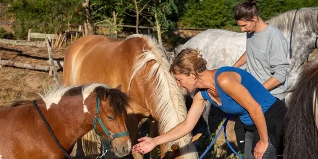 Un après-midi à la ferme_Tréhorenteuc_DestinationBrocéliande