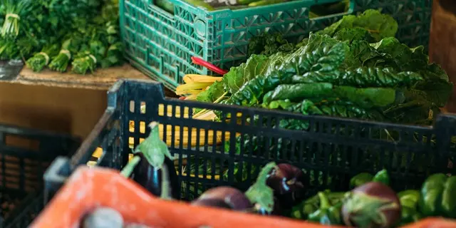 ferme_la-bouvrais_maraichage_brebis_Concoret_DestinationBroceliande