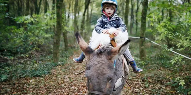domaine de Kernanou - activités équestres - Ploërmel - Brocéliande – Bretagne