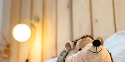 24_13_013_GîteClairiereDesFees_GîteClairiereDesFees