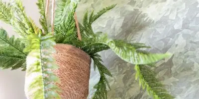 24_13_017_GîteClairiereDesFees_GîteClairiereDesFees