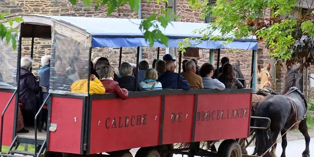 Calèche_de_Brocéliande_balade_contes_Tréhorenteuc_DestinationBrocéliande4