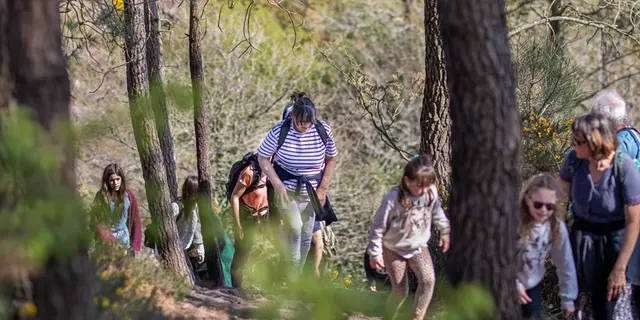 Balade-contée_Val-sans-retour_Brocéliande_les-escapades-de-Julie_Tréhorenteuc