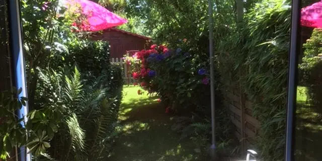 Gîte les lutins bleus-Guillac-Brocéliande-Morbihan-Bretagne