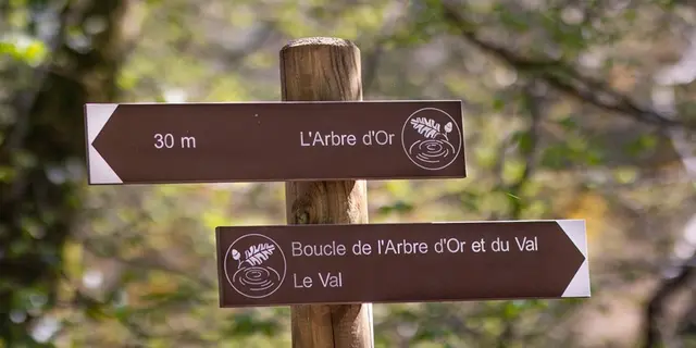 Val-sans-retour_legende_Morgane_Tréhorenteuc_Paimpont_DestinationBrocéliande