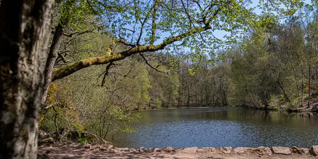 Val-sans-retour_Miroir-aux-fées_Tréhorenteuc_Paimpont_DestinationBrocéliande