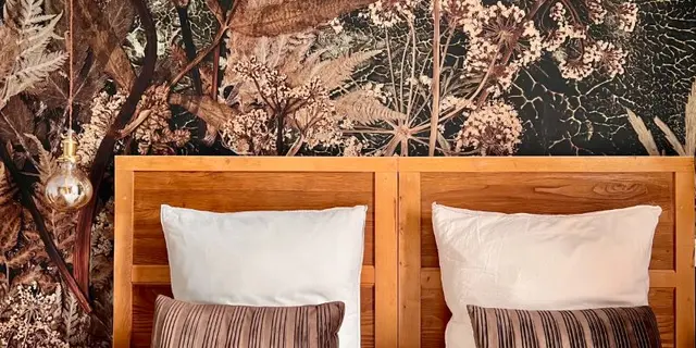 25_11_330_Morgane_ChambresMaisonMorgane