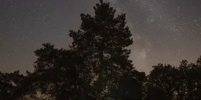 25_12_311_CampingBroceliande_CabaneKorrigan