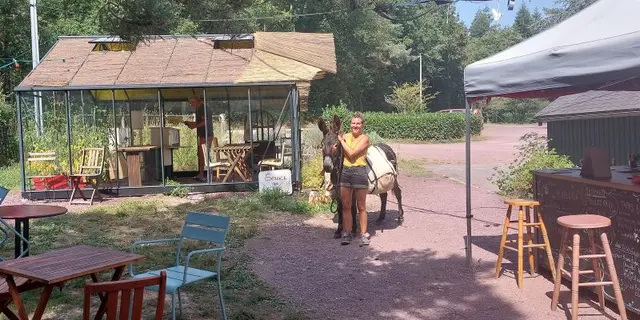 25_12_317_CampingBroceliande_Animation