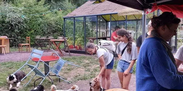 25_12_319_CampingBroceliande_Animation