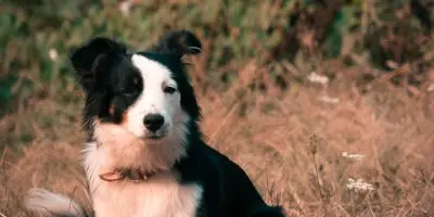 25_12_320_CampingBroceliande_Campeur