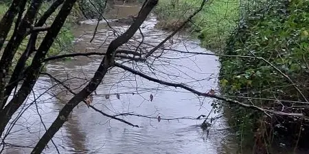 25_12_328_CampingBroceliande_Riviere