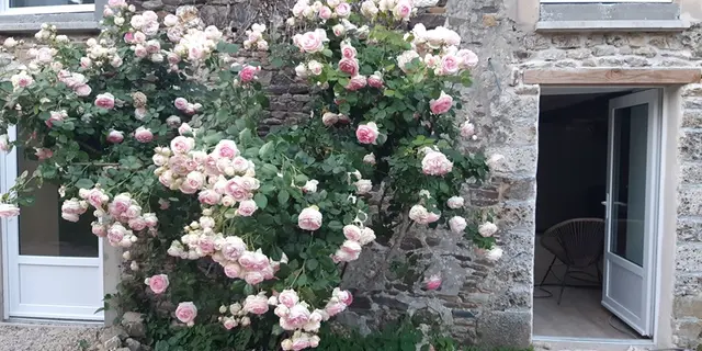 25_13_0312_ChantalDesbois_GîteKerAwen