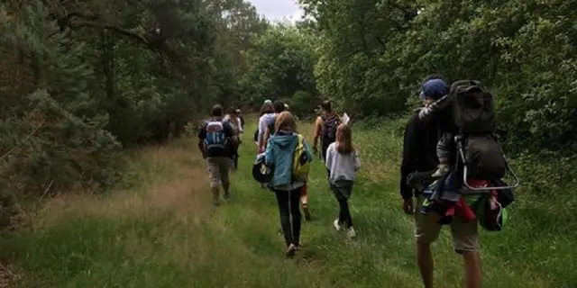 chemin_buissonnier_geocaching_Concoret_DestinationBrocéliande