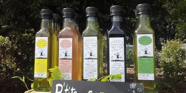 laptitecoureusedesbois2_boissons_plantes_StLery_DestinationBroceliande