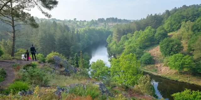 Le vallon de la Chambre au Loup