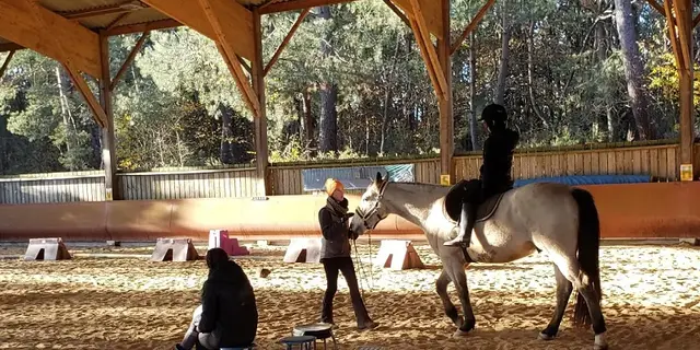 Chevaux_de_Brocéliande_centre_équestre_Tréhorenteuc