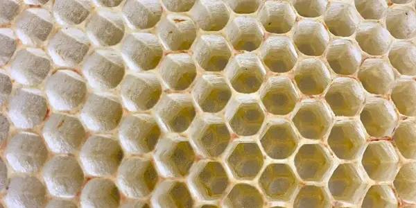 331092598_2331555420358248_469280112478081308_n