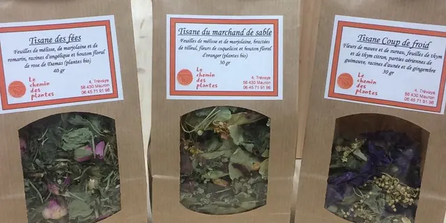 lechemindesplantes_tisanes_producteurlocal_Mauron_DestinationBroceliande