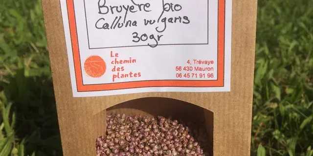 lechemindesplantes_tisanes3_producteurlocal_Mauron_DestinationBroceliande