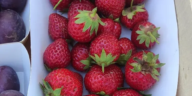 marchés_producteurs_artisans_Valauxfées_Concoret_DestinationBrocéliande5