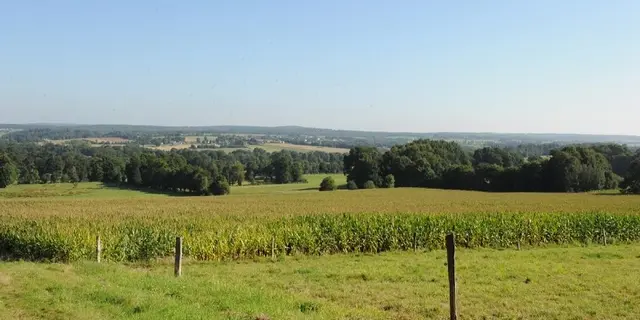 Chambres d'hôtes d'Haligan