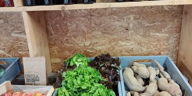 boutique_epicerie_maraichage_bio_ferme_coetbily_meneac_DestinationBroceliande