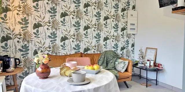 Gîte - Home Vert La Suite - Forges de Lanouée - Josselin - Brocéliande